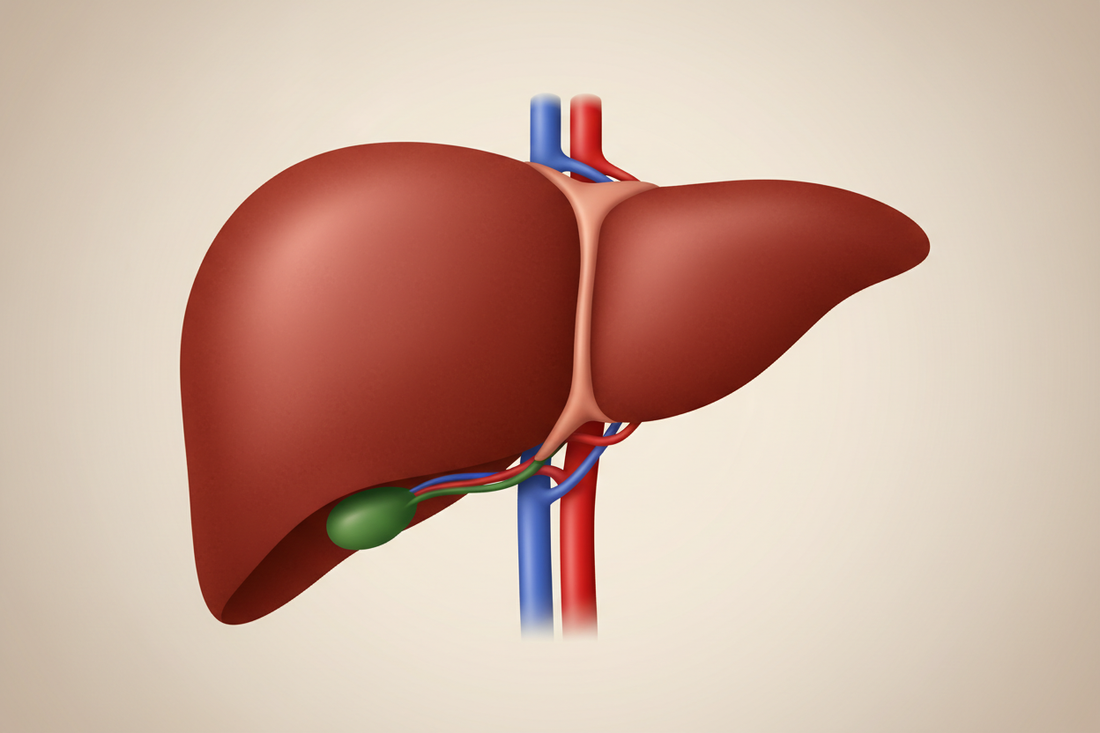 The Best Herbs to Heal Your Liver Naturally