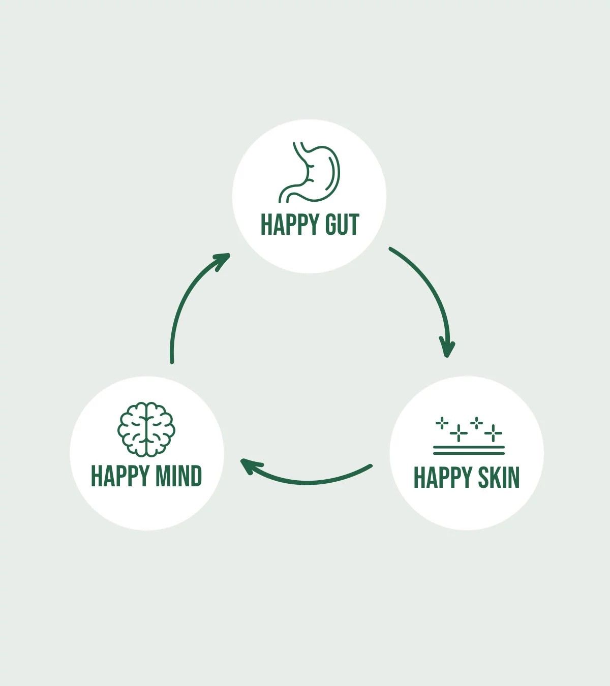 Complete Gut Reset & Healing Bundle