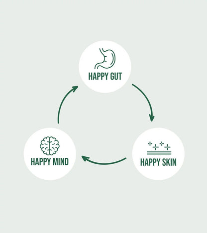 Complete Gut Reset & Healing Bundle