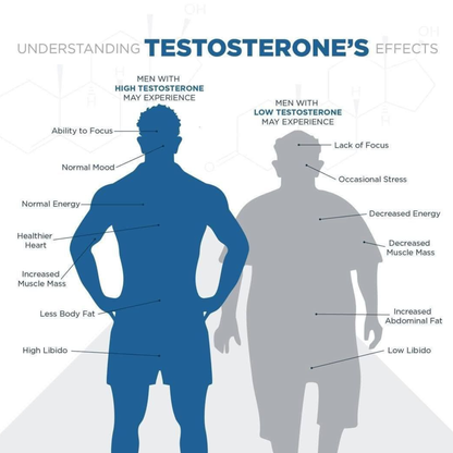 Men's Prime Power Bundle