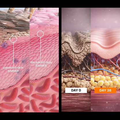 Woman's Natural Beauty & Vitality Bundle