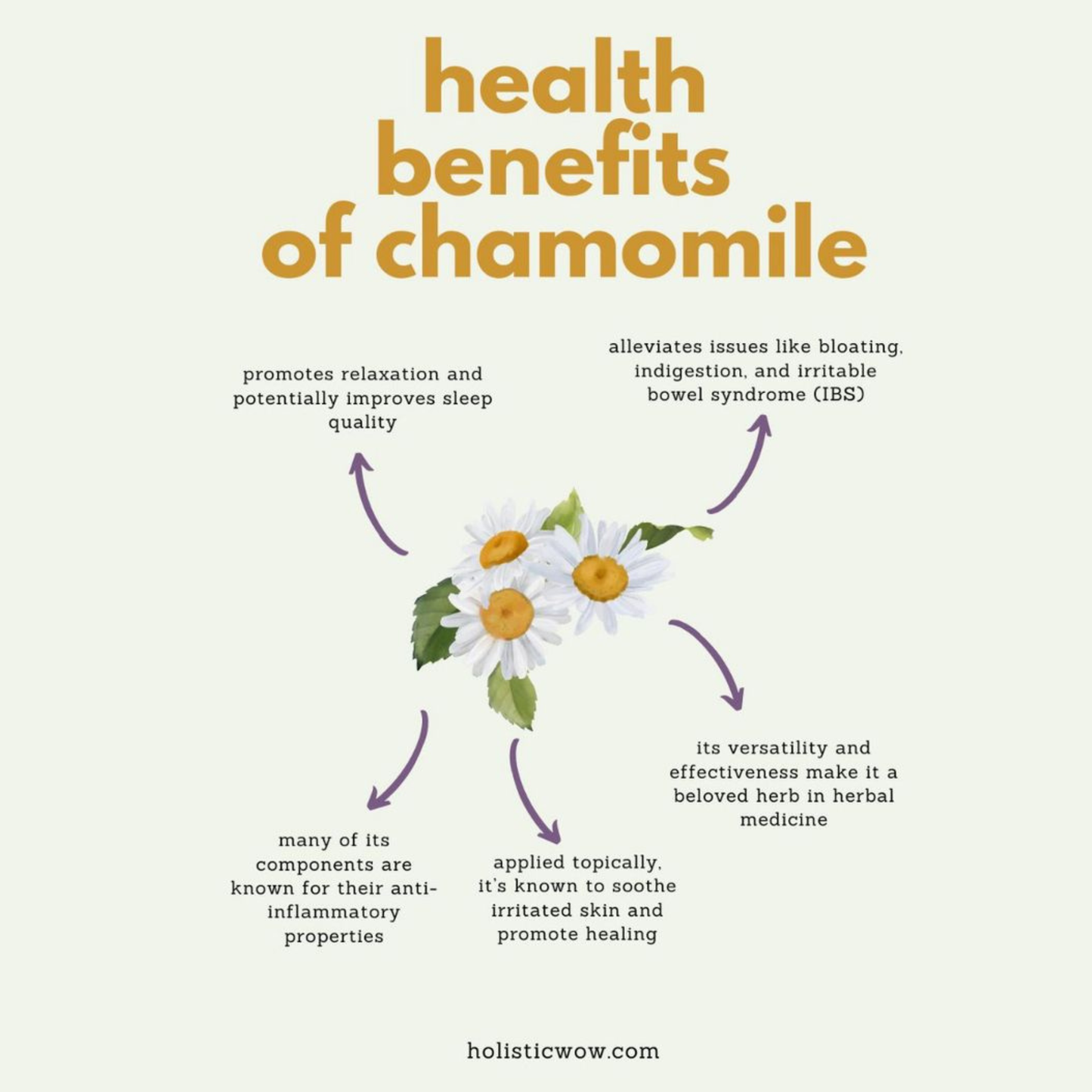 Calm Mind & Deep Sleep Bundle