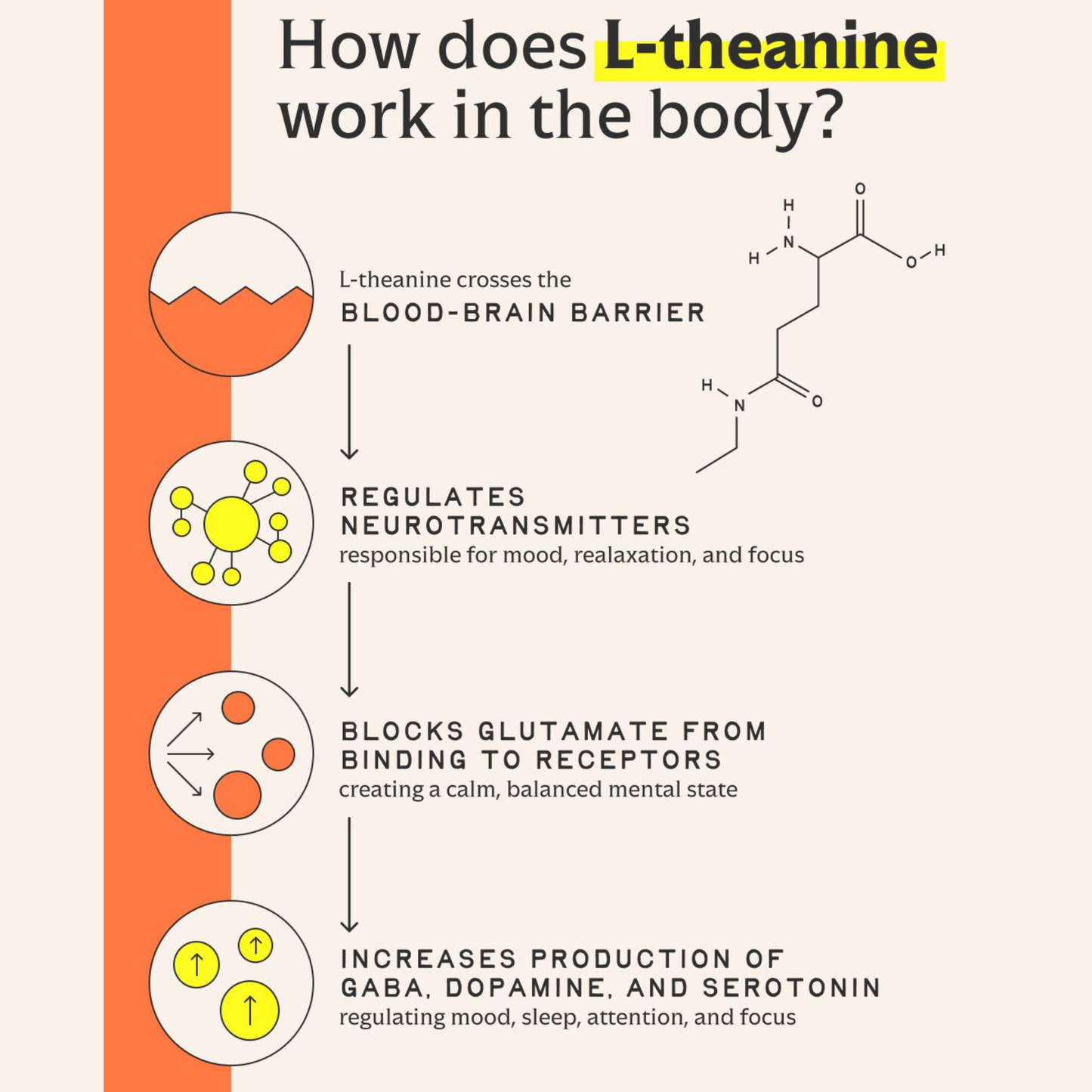 Calm Mind & Deep Sleep Bundle