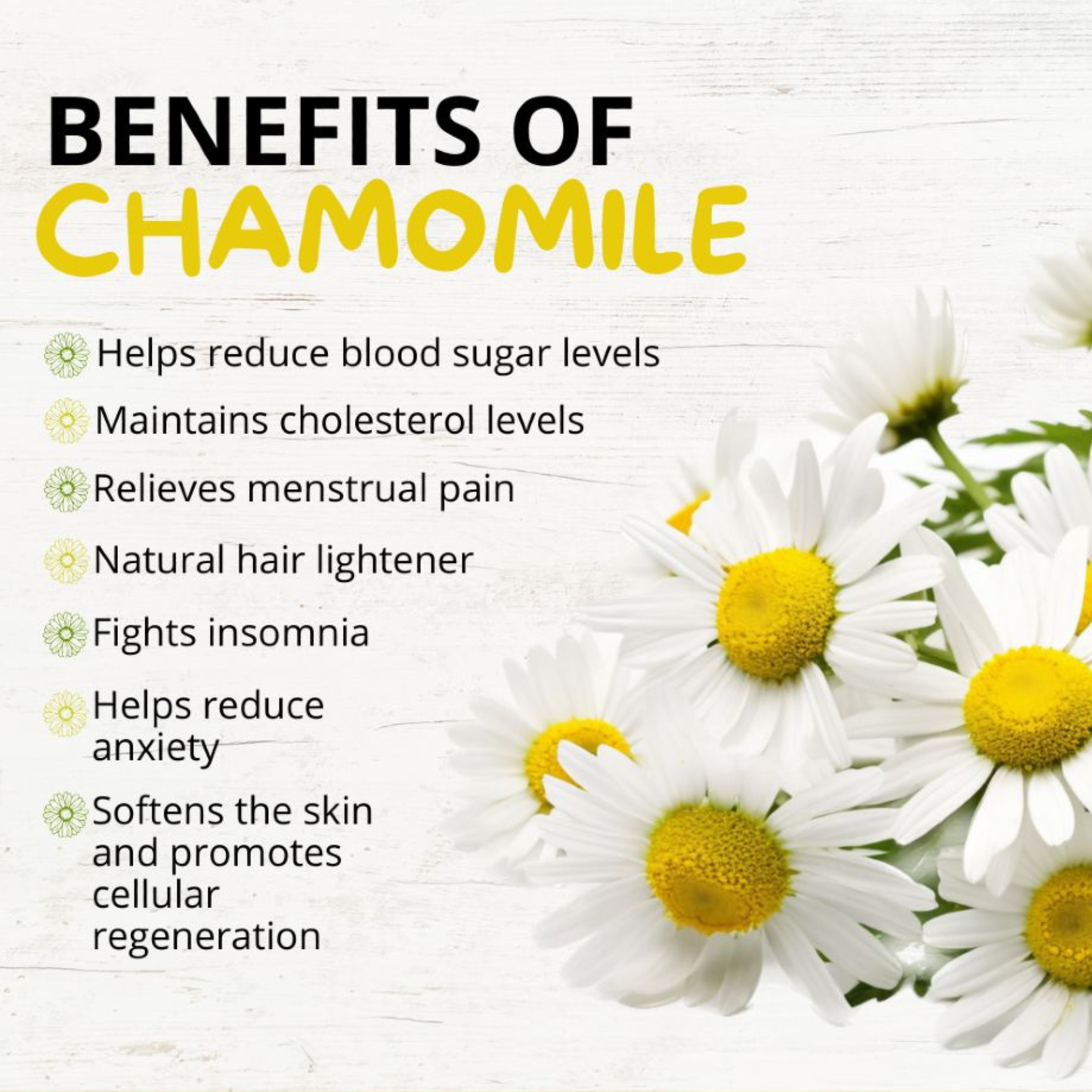 Calm Mind & Deep Sleep Bundle