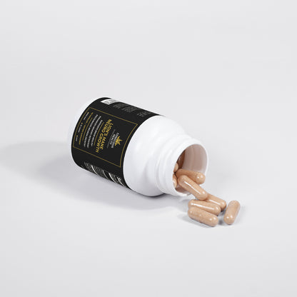 Lion’s Mane Neuro Growth