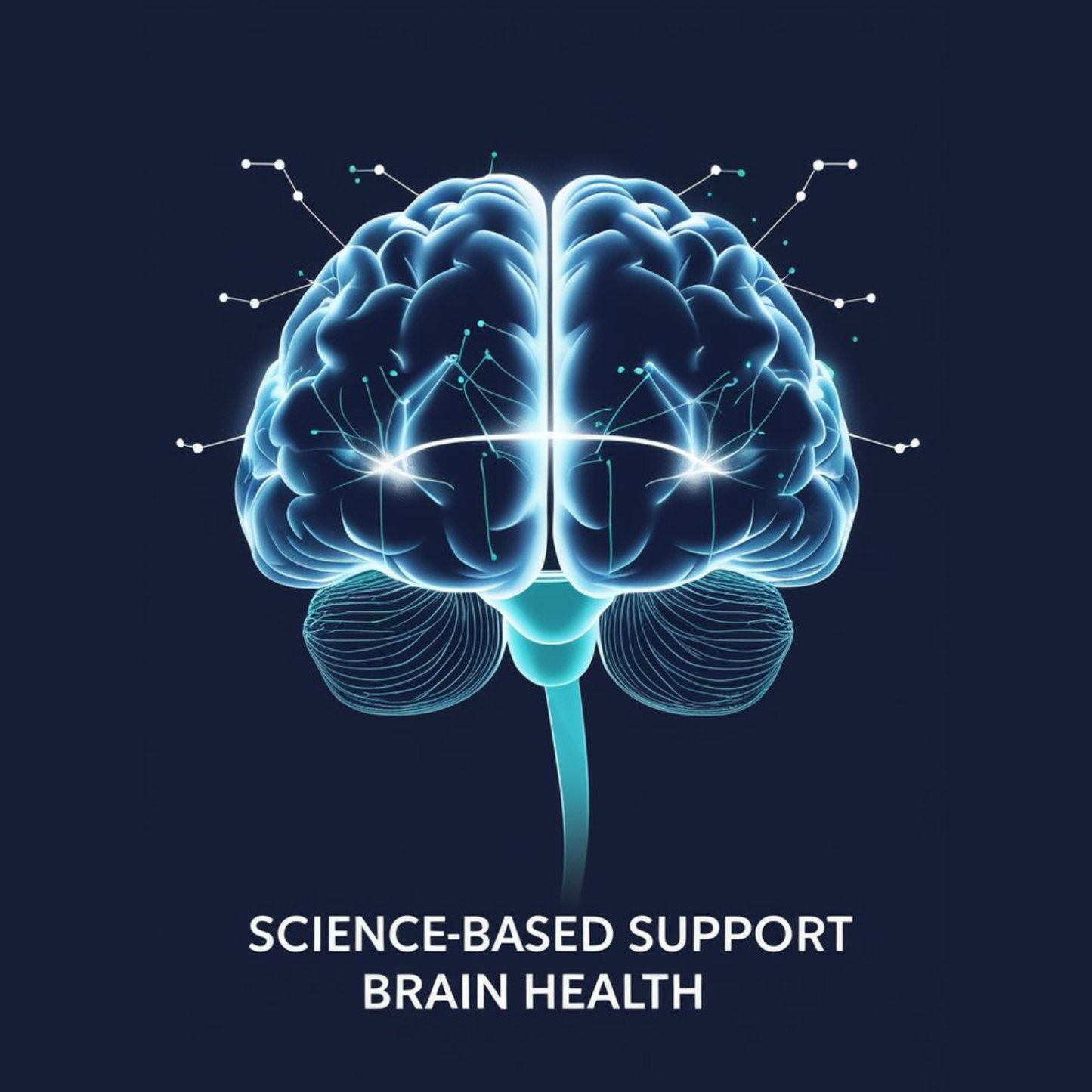 Brain Renewal Power Bundle