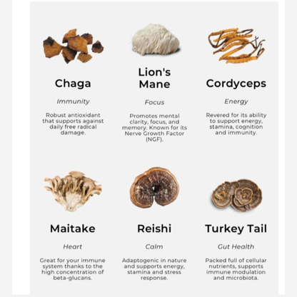 Deep Healing & Immune Support Bundle