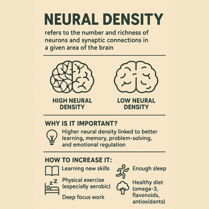 Brain Renewal Power Bundle