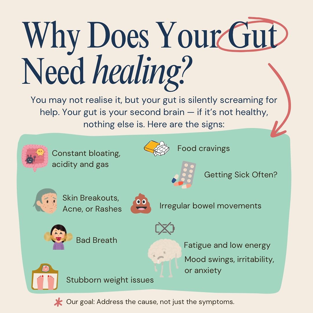 Complete Gut Reset & Healing Bundle