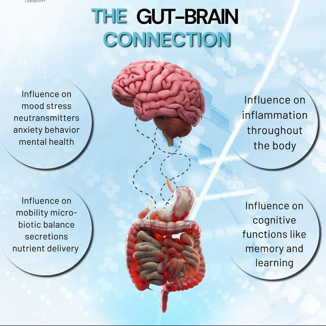 Complete Gut Reset & Healing Bundle