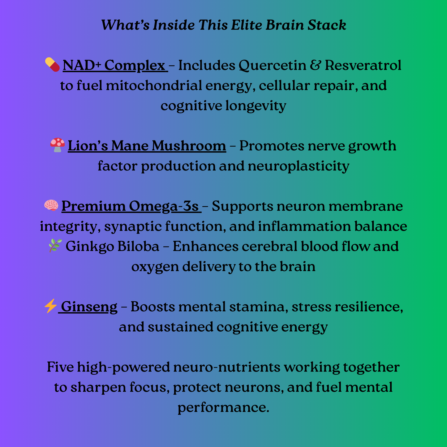 Brain Renewal Power Bundle