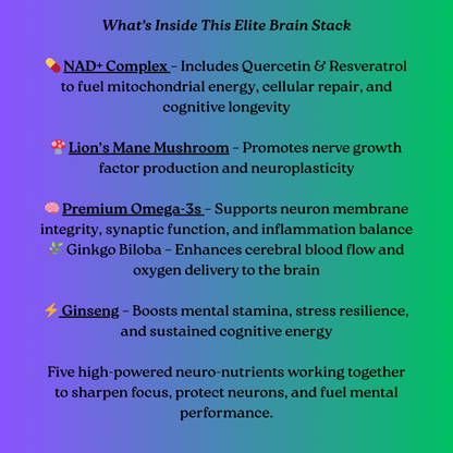 Brain Renewal Power Bundle
