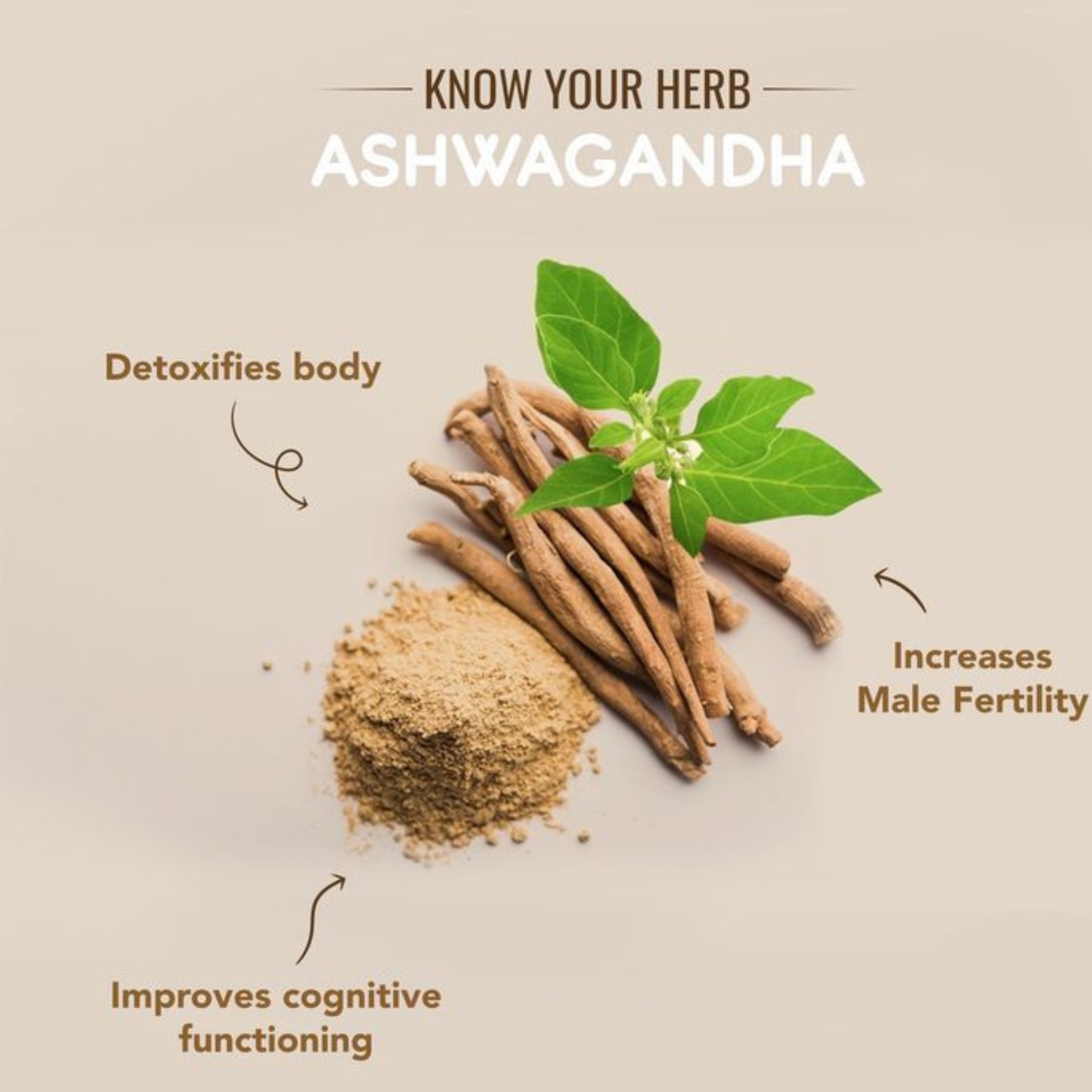 Men's Prime Power Bundle