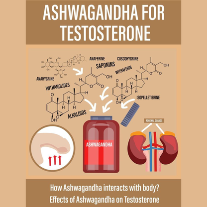 Men's Prime Power Bundle