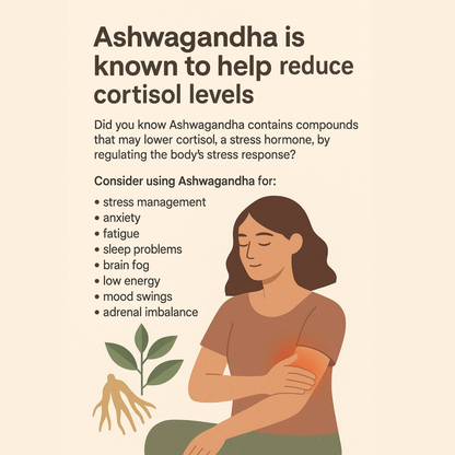 Calm Mind & Deep Sleep Bundle