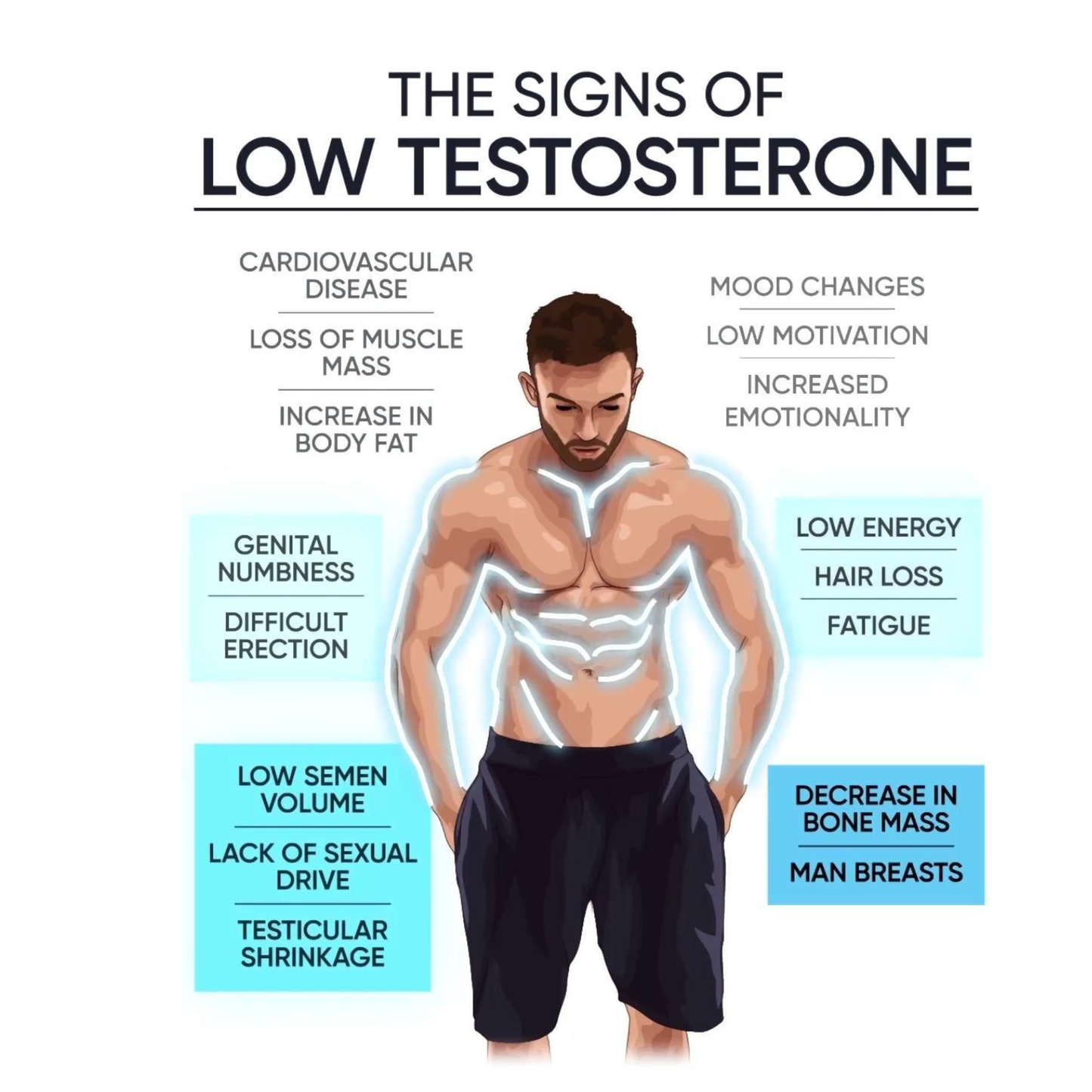 Men's Prime Power Bundle