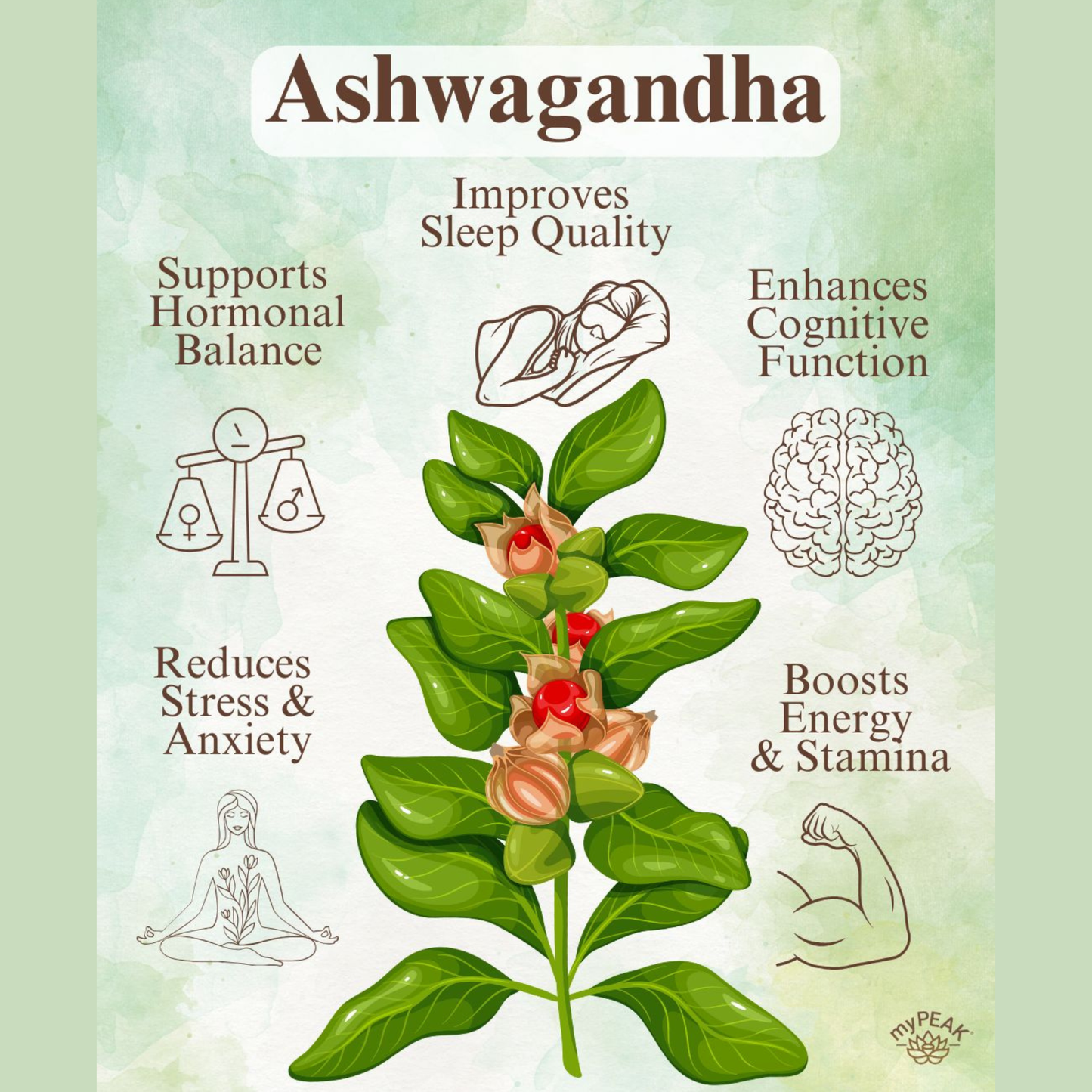 Woman's Natural Beauty & Vitality Bundle