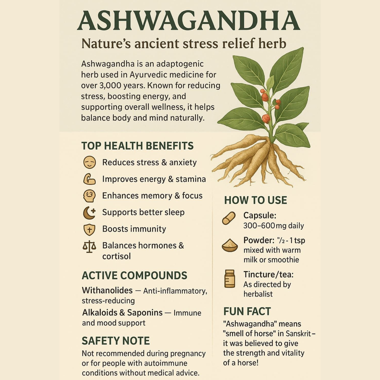 Woman's Natural Beauty & Vitality Bundle