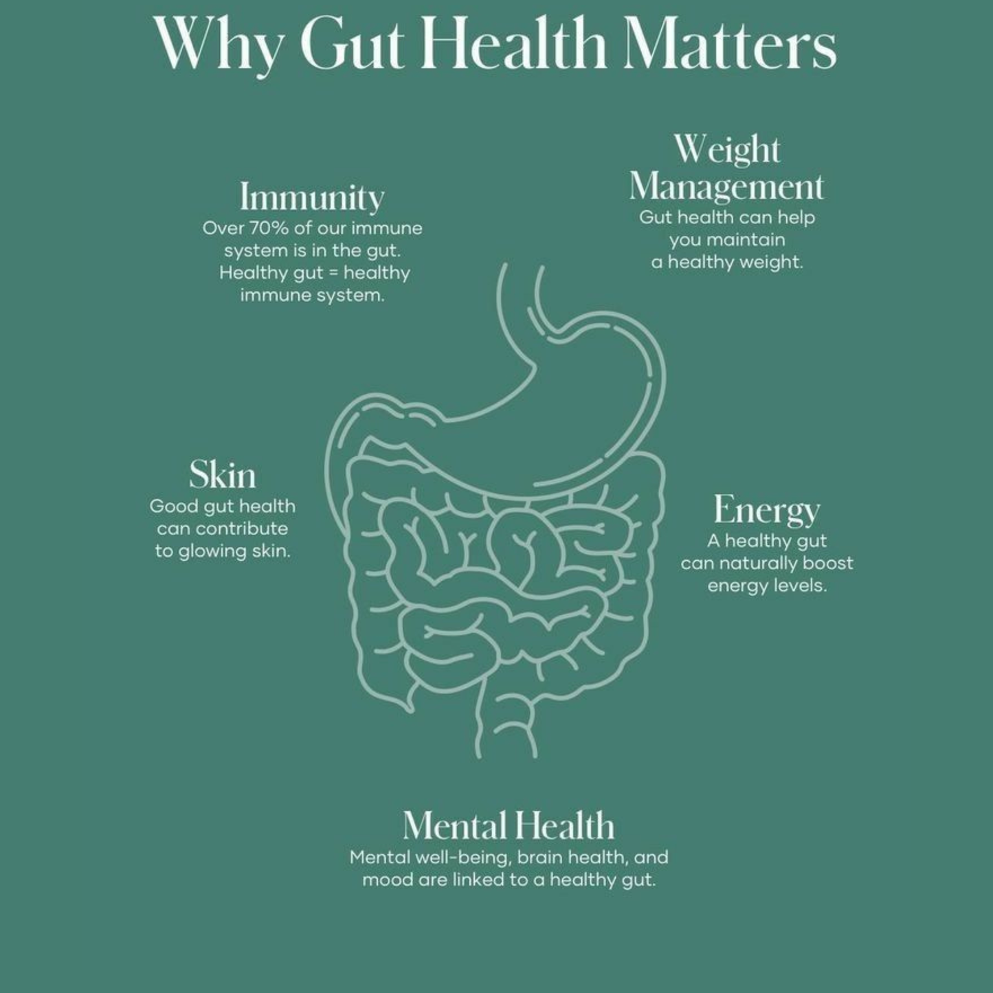 Complete Gut Reset & Healing Bundle