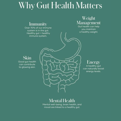 Complete Gut Reset & Healing Bundle