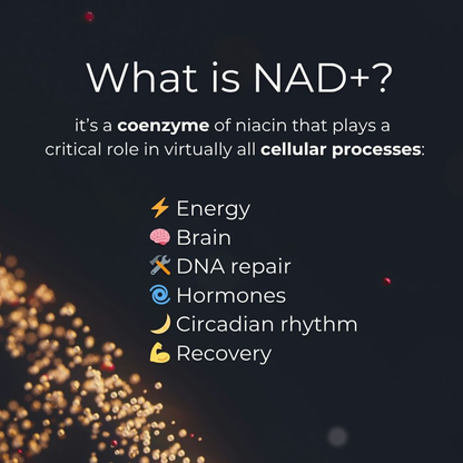 Deep Healing & Immune Support Bundle