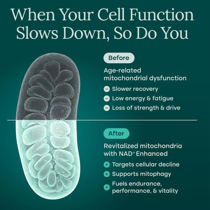 Deep Healing & Immune Support Bundle