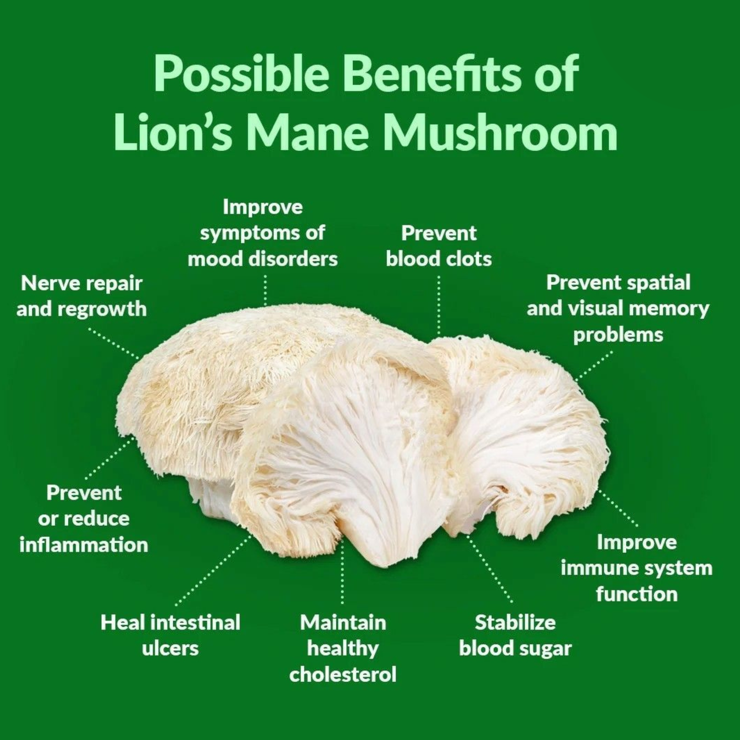 Brain Renewal Power Bundle