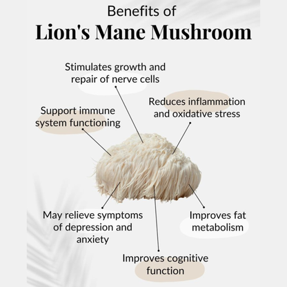 Brain Renewal Power Bundle