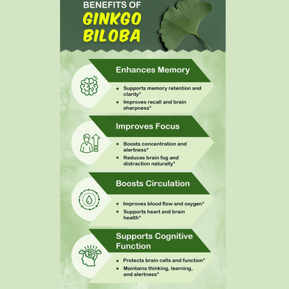 Brain Renewal Power Bundle