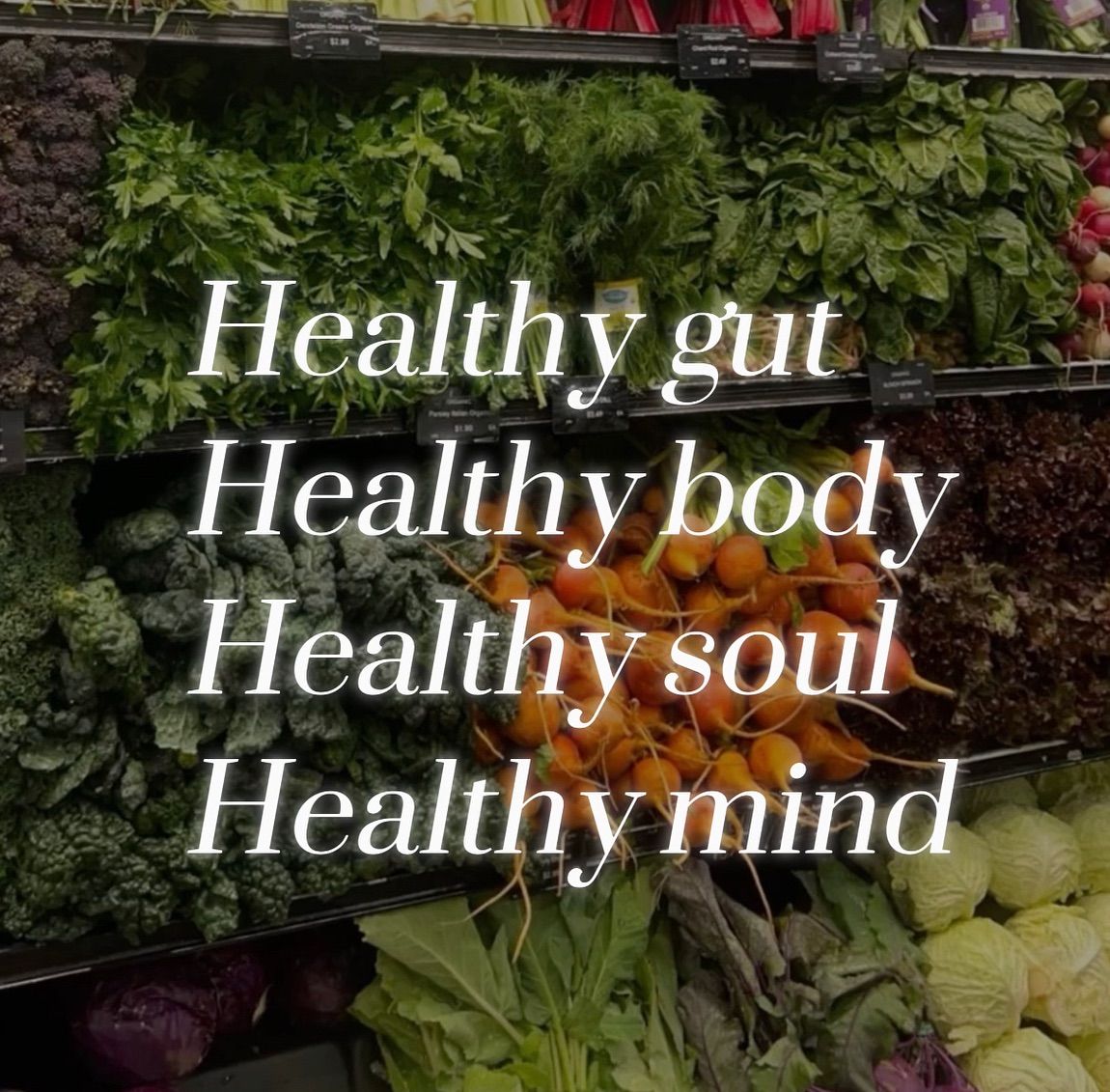 Complete Gut Reset & Healing Bundle