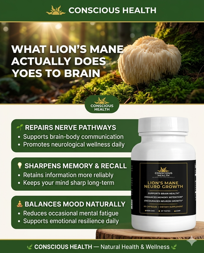 Lion’s Mane Cognitive Support