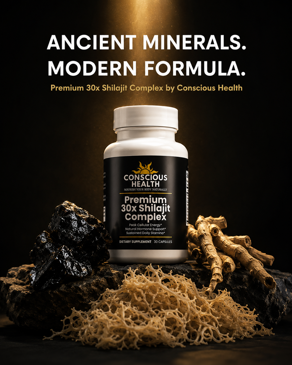 Premium 30x Shilajit Complex