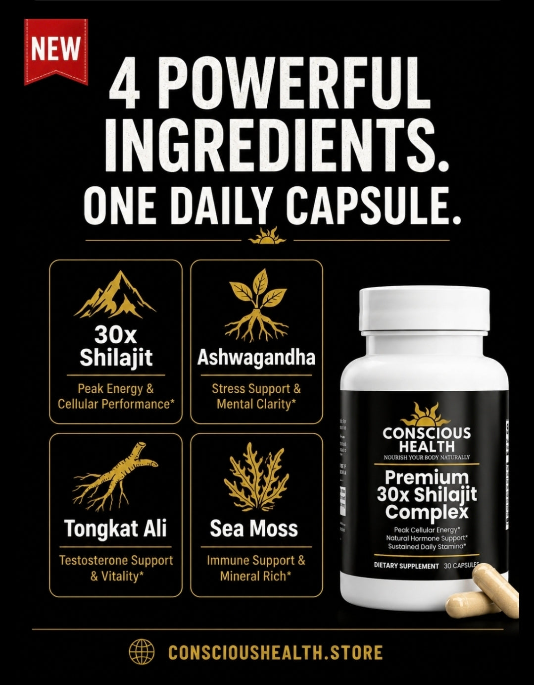 Premium 30x Shilajit Complex