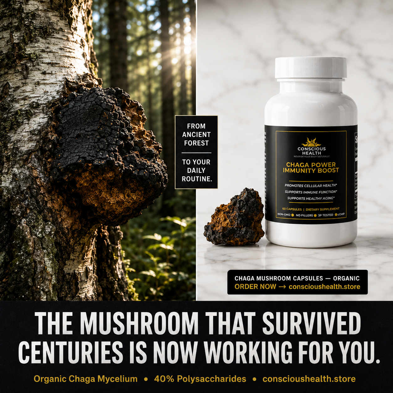 Chaga Power Immunity Boost