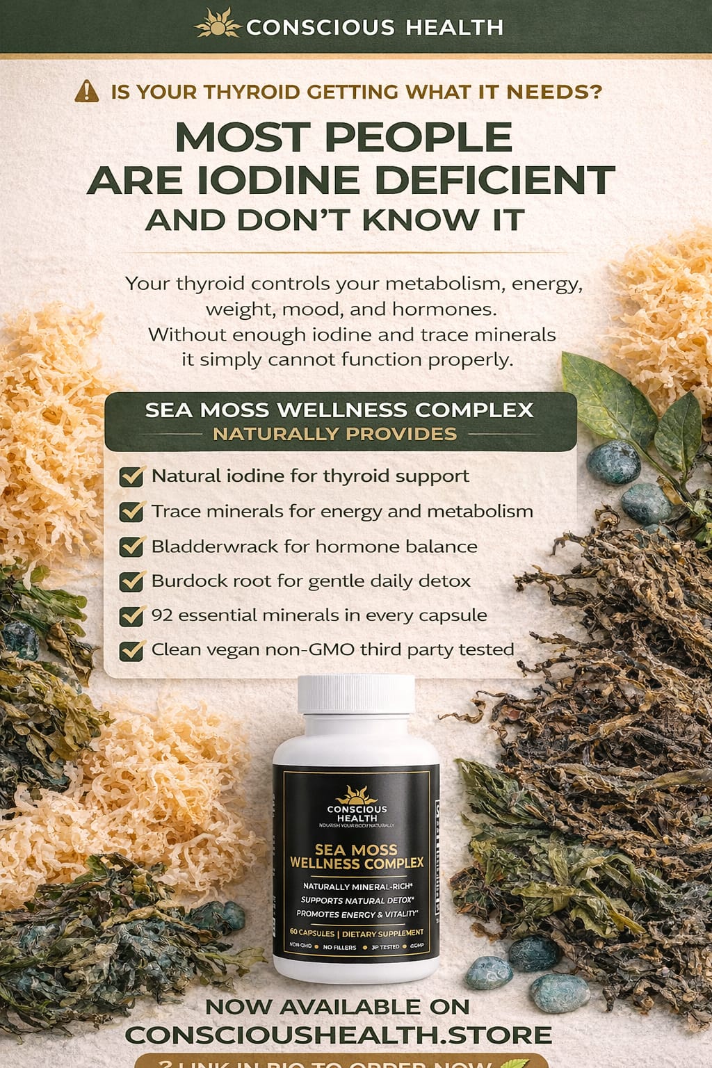 Sea Moss Wellness Complex